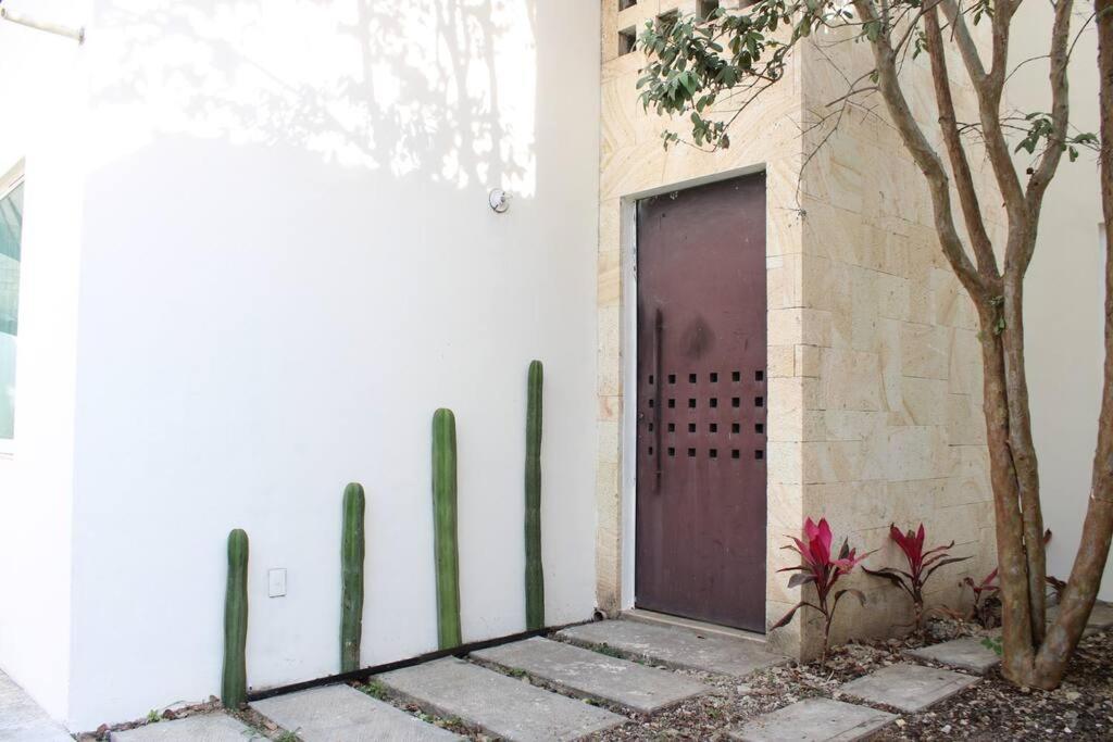 Casa Colibri Oaxaca Con Jacuzzi En Terraza Villa Santa Maria Atzompa Eksteriør bilde